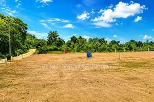 හෝමාගම ආටිගලින් වටිනා බිම් කොටසක්