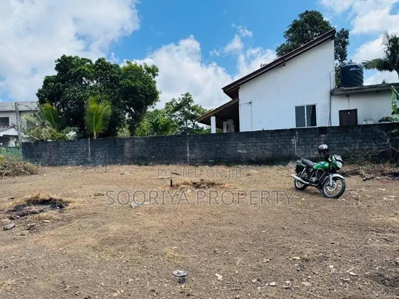 ප්‍රධාන බස් මාර්ගයට ආසන්නව ඉඩමක් විකිණීමට - Piliyandala Miriswattha