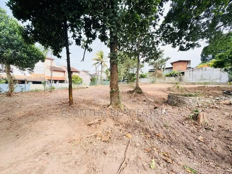 (AFA393) 19 P Bare Land Sale At Temple Road Thalawathugoda