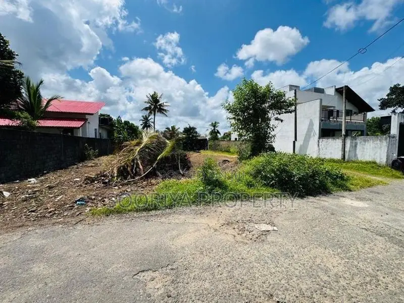 ප්‍රධාන බස් මාර්ගයට ආසන්නව ඉඩමක් විකිණීමට - Piliyandala Miriswattha
