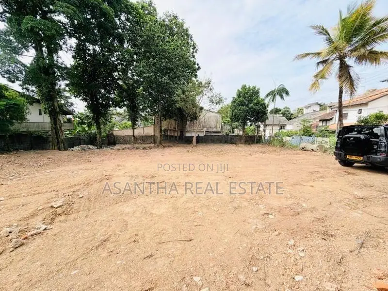 (AFA393) 19 P Bare Land Sale At Temple Road Thalawathugoda