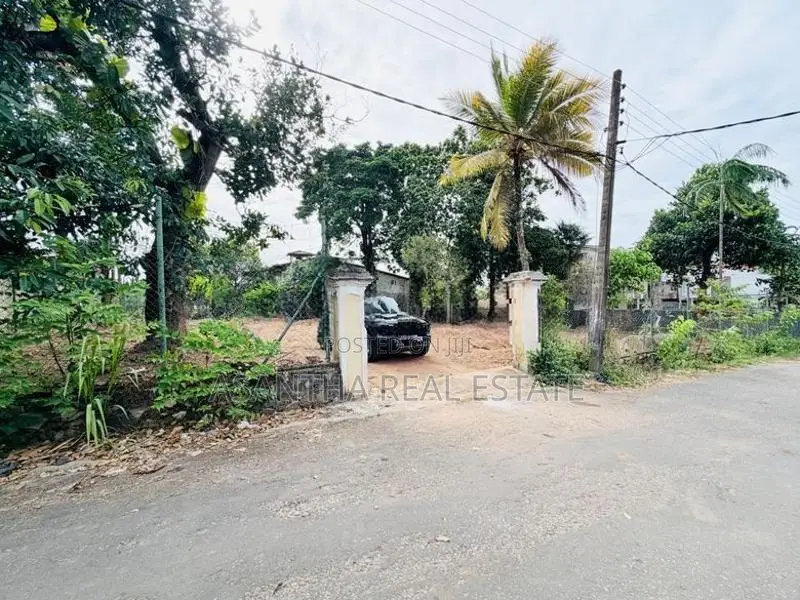 (AFA393) 19 P Bare Land Sale At Temple Road Thalawathugoda