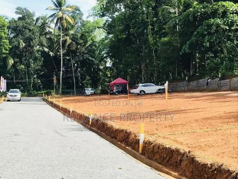 පිටිපනින් වටිනා බිම් කොටසක්