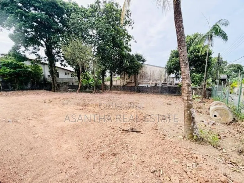 (AFA393) 19 P Bare Land Sale At Temple Road Thalawathugoda