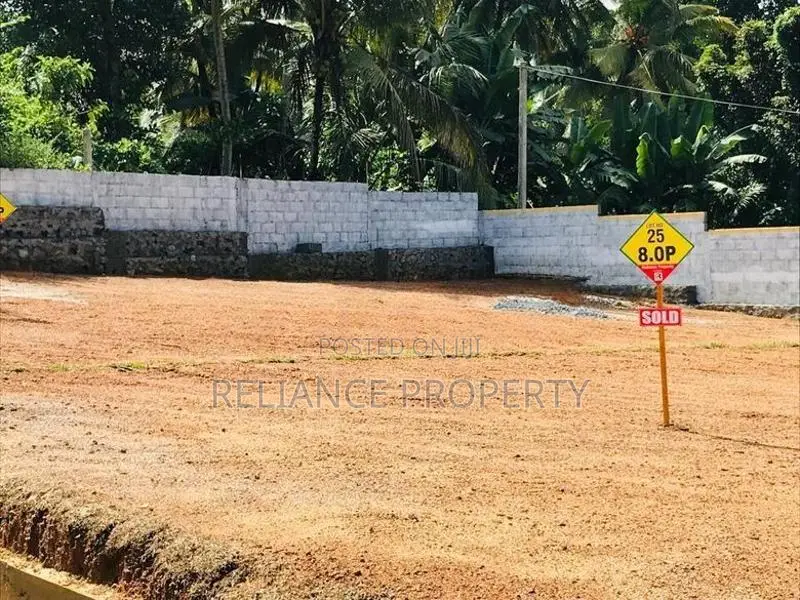 පිටිපනින් වටිනා බිම් කොටසක්
