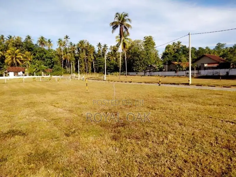 Land for Sale in Dagonna