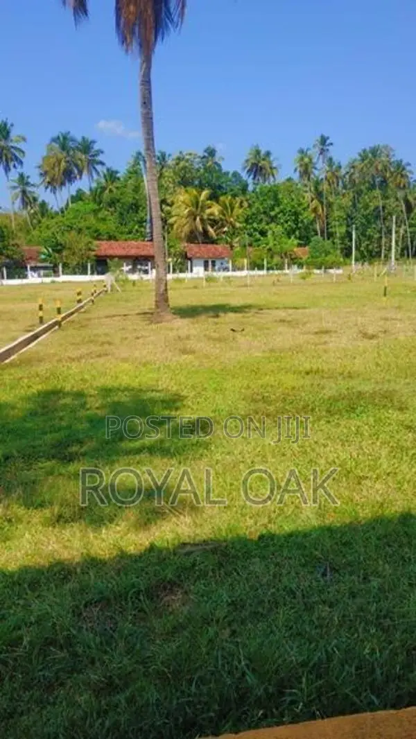 Land for Sale in Dagonna