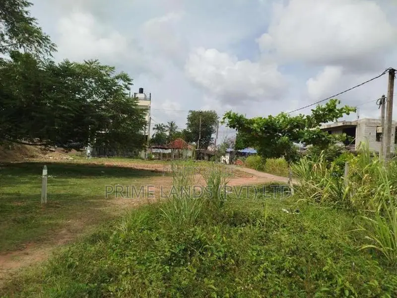 පිලියන්දල ,කහපොල බස් පාරට මුහුනලා බිම් කොටසක් විකිණීමට