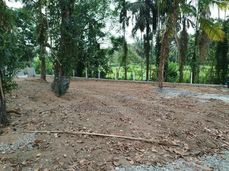වටරැක හල්බරාව බස් පාරෙන් බිම් කොටස් විකිණීමට