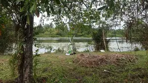 Water Front Land for Sale Facing Bolgoda Lake