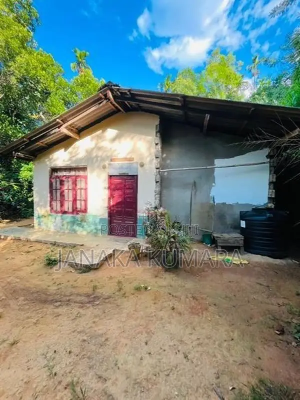 Pepper Land with House at Nikapotha