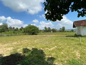 Land for Sale Near by The Oruwa Hotel and Resort Pottuvil