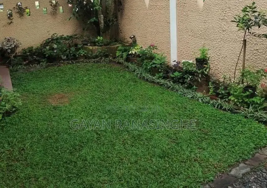 Room for Rent Makumbura