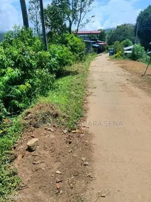 තේ ඉඩම විකිණීමට පට්ටියගෙදර