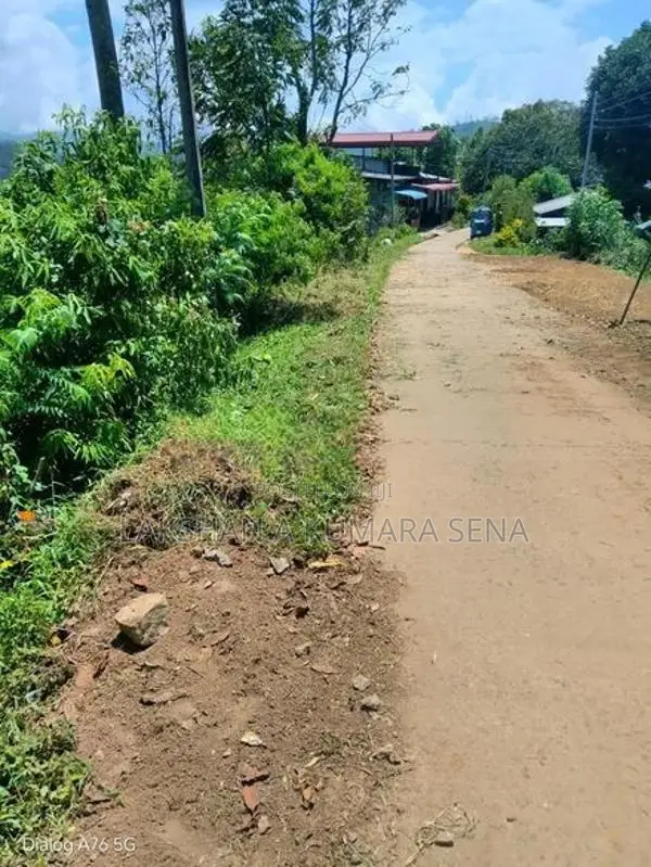 තේ ඉඩම විකිණීමට පට්ටියගෙදර