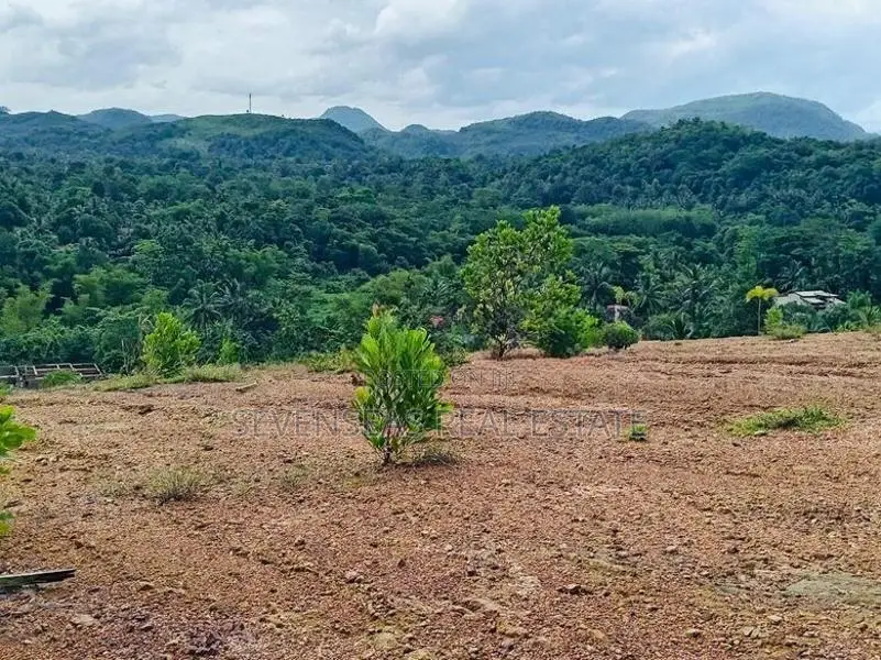 අවිස්සාවේල්ල නගරාසන්නයෙන් අගනා නේවාසික බිම් කොටස් විකිණීමට
