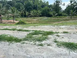 ගාල්ල උඩුගම බස් පාරට ලගින්ම බිම් කොටස්