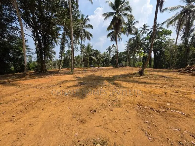 Mawak Oya Facing Land For Sale - Padukka