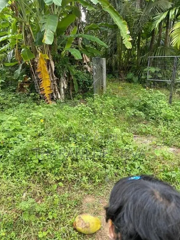 Land for Sale Kalutara