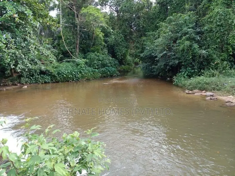 Mawak Oya Facing Land For Sale - Handapangoda
