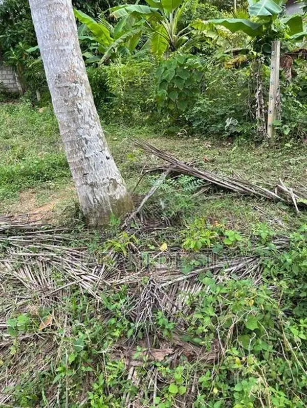 Land for Sale Kalutara