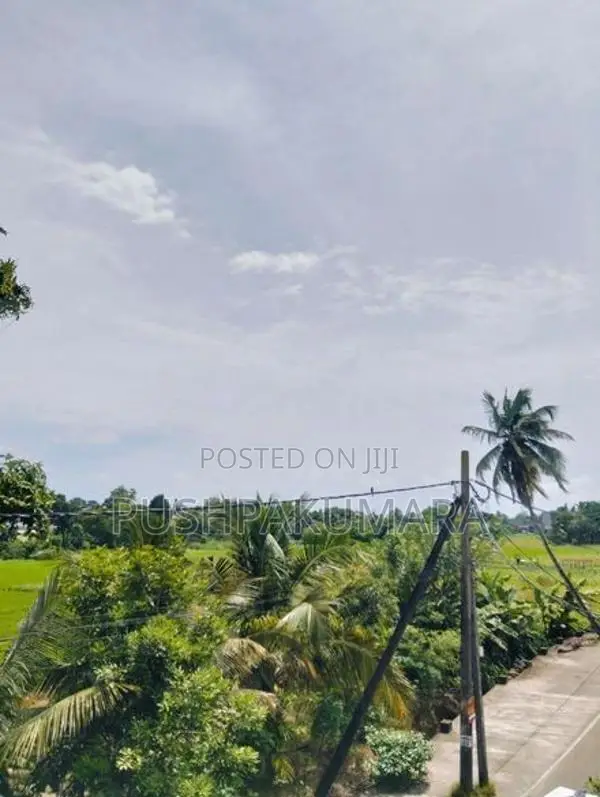 House for Rent in Pannipitiya( FILE NO 5538B)