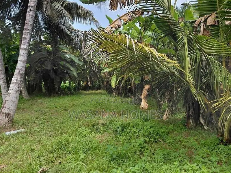 Land for Sale in Borelesgamuwa