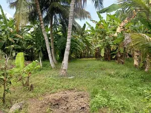 Land for Sale in Borelesgamuwa