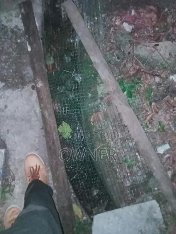 වටිනා ඉඩමක් ජා එල ,නිවන්ඩම පාර