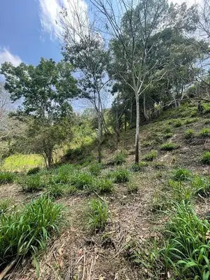 Prime Land for Eco Resort Stream Front Great