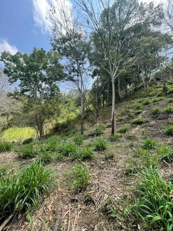 Prime Land for Eco Resort Stream Front Great