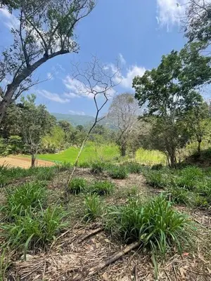Prime Land for Eco Resort Stream Front Great