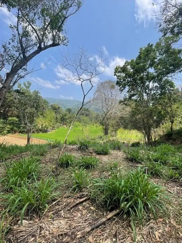 Prime Land for Eco Resort Stream Front Great