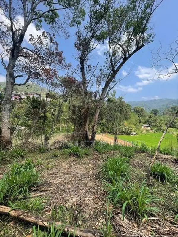 Prime Land for Eco Resort Stream Front Great