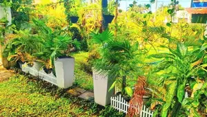 Holiday Bangalow Rent in Jaffna