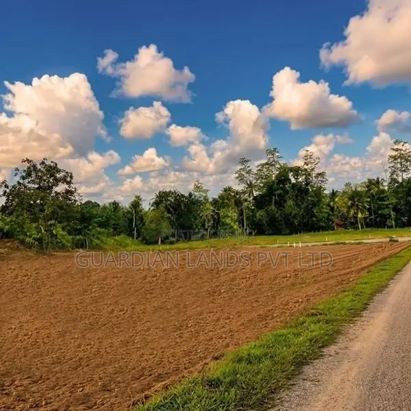 Best Investment Land for Sale in Nawagamuwa
