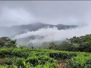 Land for Sale in Rakwana