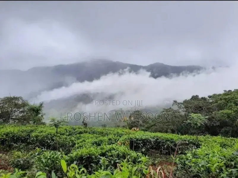 Land for Sale in Rakwana