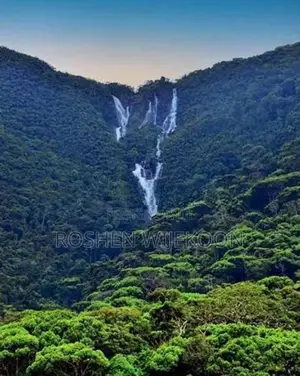 Land for Sale in Rakwana