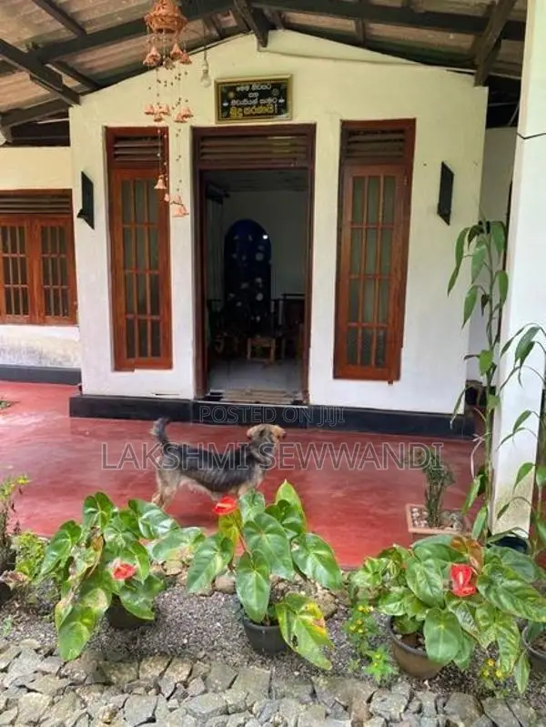House for Sale in Passara