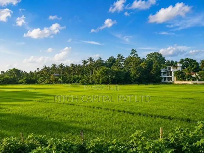 සුන්දර වෙල්යායකට මුහුණලා කහතුඩුවෙන් වටිනා ඉඩමක්