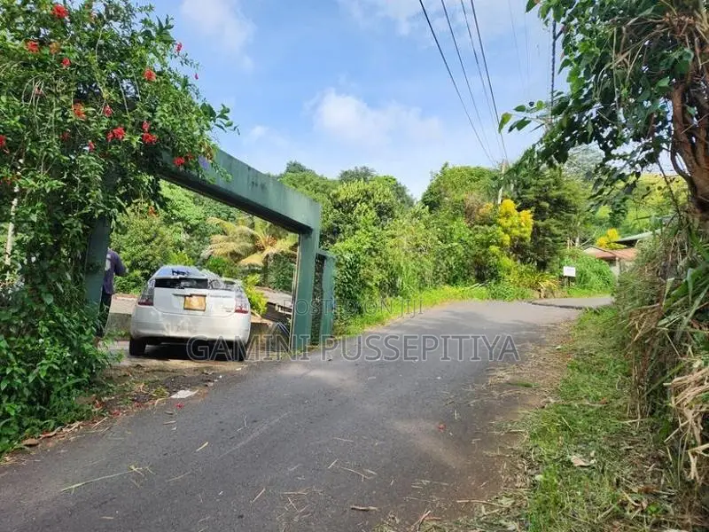 House for Sale in Richmond Hill, Hanthana