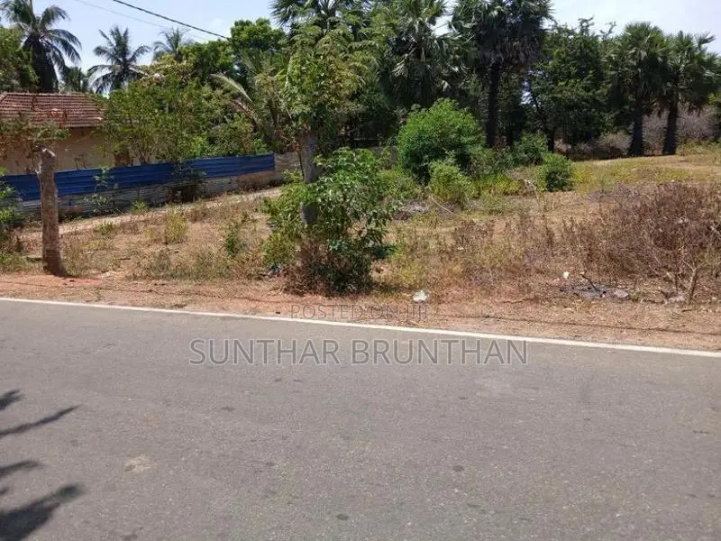 Land for Sale Jaffna