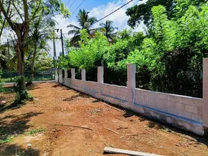 Valuable Coastal Land for Sale in Midigama