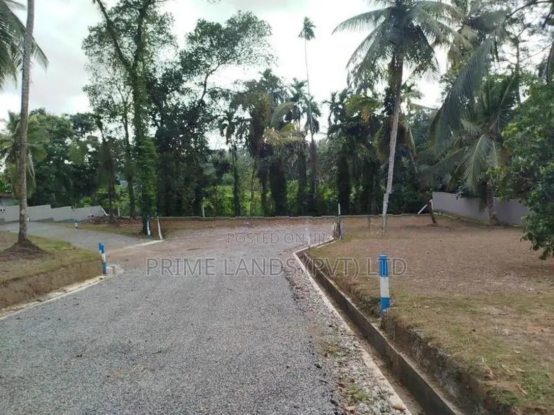 හෝමාගම බිම් කොටස් විකිණීමට