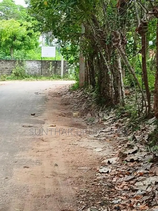 Land for Sale Jaffna