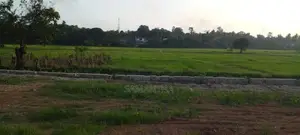 Thalawathugoda - Pelawatha Paddy Field Facing Land for Sale