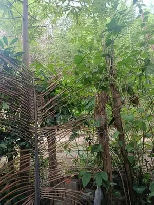 Land for Sale in Kandy