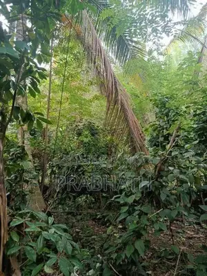 Land for Sale in Kandy