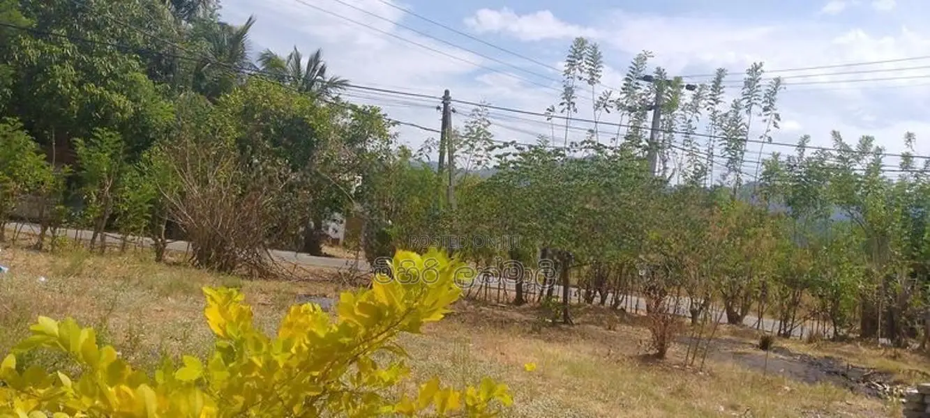 ඉඩමක් විකිණීම මහියංගනය